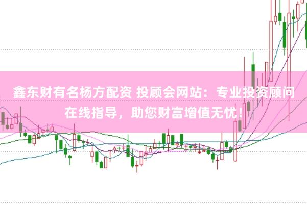 鑫东财有名杨方配资 投顾会网站：专业投资顾问在线指导，助您财富增值无忧！