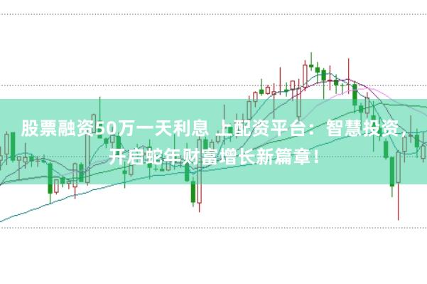股票融资50万一天利息 上配资平台：智慧投资，开启蛇年财富增长新篇章！