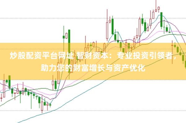 炒股配资平台网址 智财资本：专业投资引领者，助力您的财富增长与资产优化