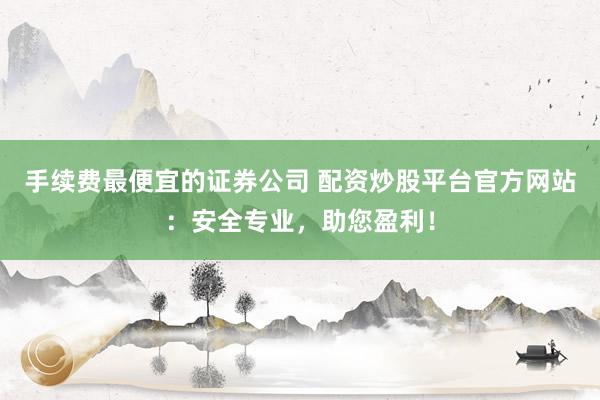 手续费最便宜的证券公司 配资炒股平台官方网站：安全专业，助您盈利！