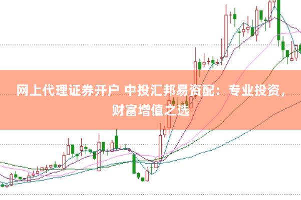 网上代理证券开户 中投汇邦易资配：专业投资，财富增值之选