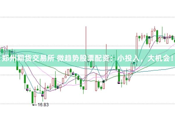 郑州期货交易所 微趋势股票配资：小投入，大机会！