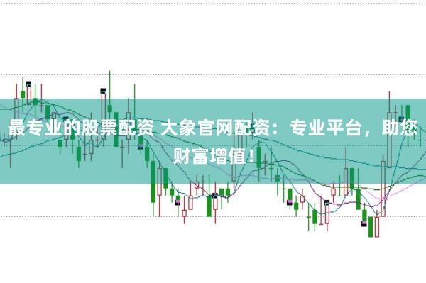 最专业的股票配资 大象官网配资：专业平台，助您财富增值！