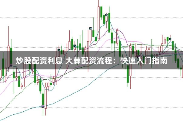 炒股配资利息 大蒜配资流程：快速入门指南