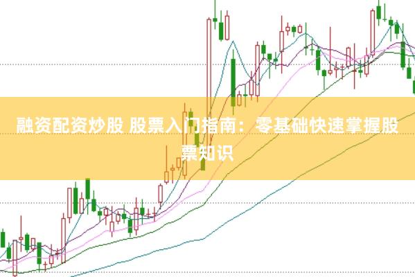 融资配资炒股 股票入门指南：零基础快速掌握股票知识