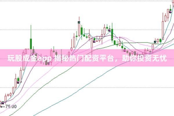 玩股成金app 揭秘热门配资平台,助你投资无忧