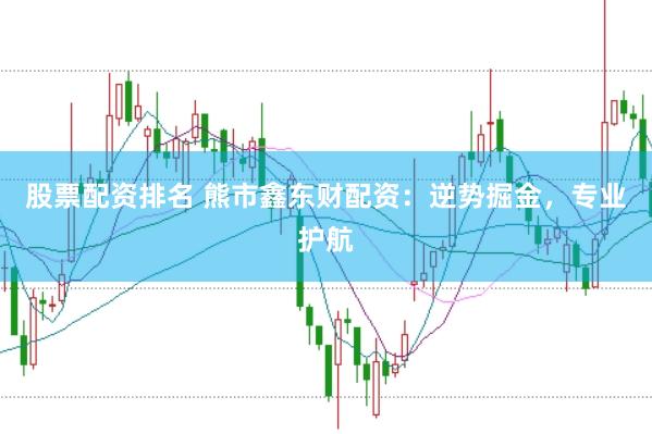 股票配资排名 熊市鑫东财配资:逆势掘金,专业护航