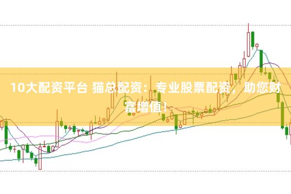 10大配资平台 猫总配资：专业股票配资，助您财富增值！
