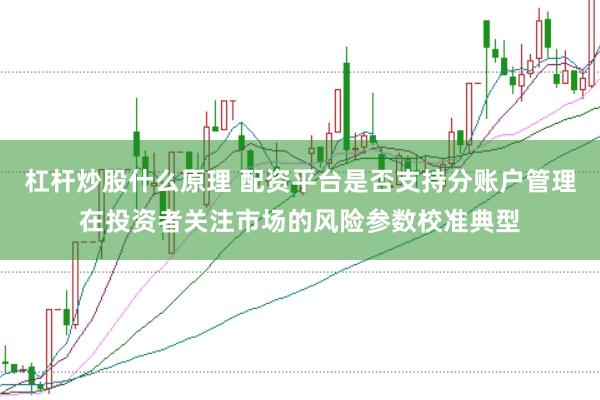 杠杆炒股什么原理 配资平台是否支持分账户管理在投资者关注市场的风险参数校准典型