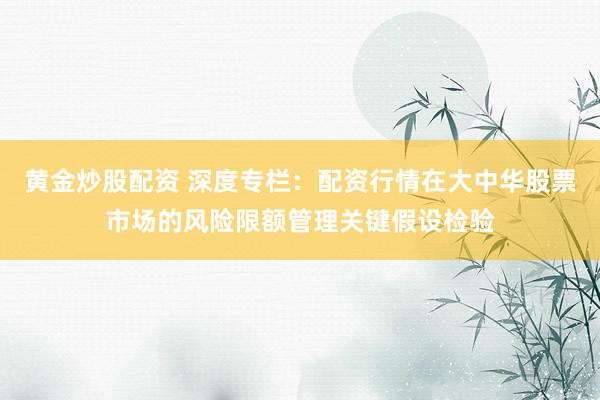 黄金炒股配资 深度专栏：配资行情在大中华股票市场的风险限额管理关键假设检验