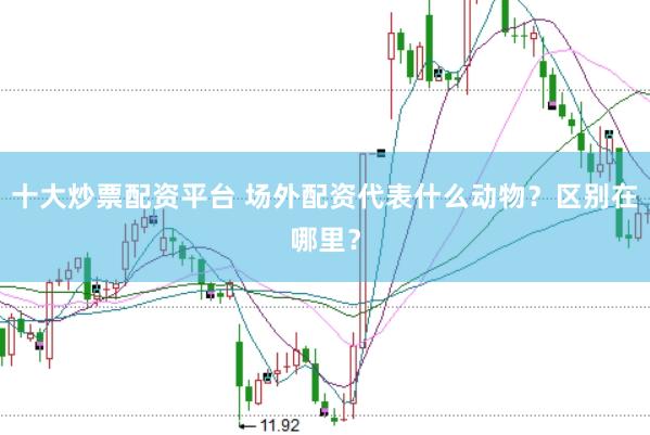 十大炒票配资平台 场外配资代表什么动物？区别在哪里？