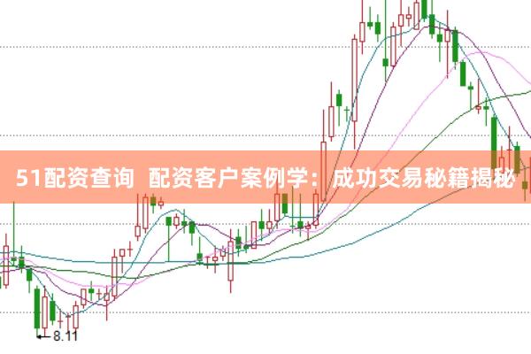 51配资查询  配资客户案例学：成功交易秘籍揭秘