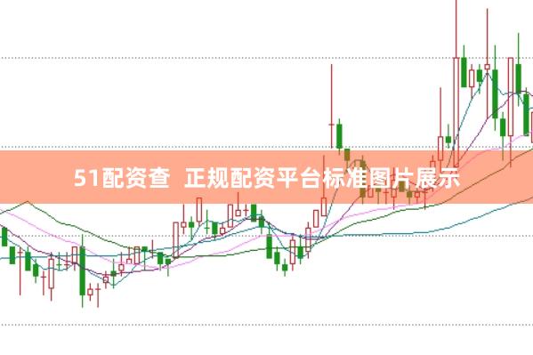 51配资查  正规配资平台标准图片展示