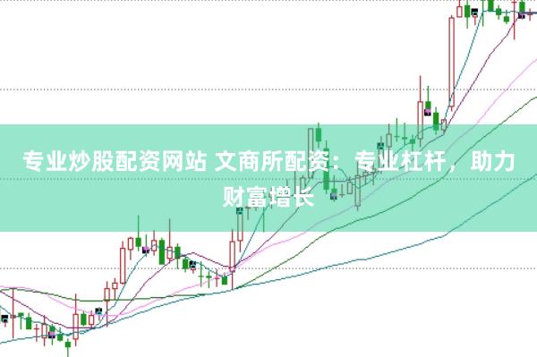 专业炒股配资网站 文商所配资：专业杠杆，助力财富增长