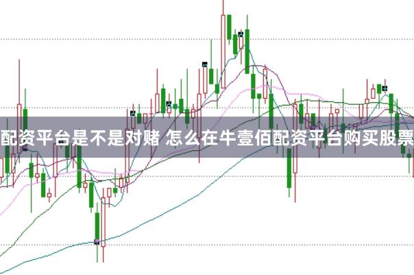 配资平台是不是对赌 怎么在牛壹佰配资平台购买股票