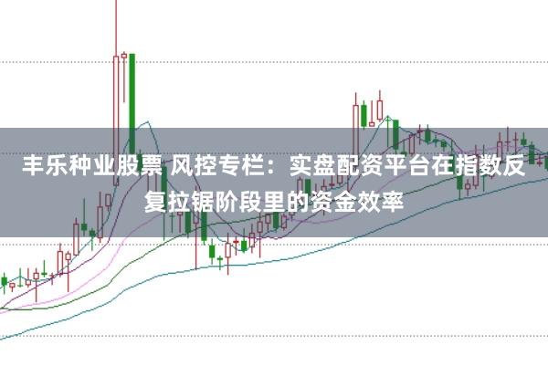 丰乐种业股票 风控专栏:实盘配资平台在指数反复拉锯阶段里的资金效率