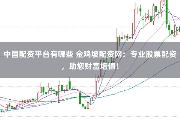 中国配资平台有哪些 金鸡坡配资网：专业股票配资，助您财富增值！